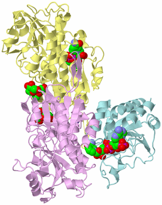 Image Biological Unit 2