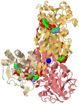 Image Biological Unit 3