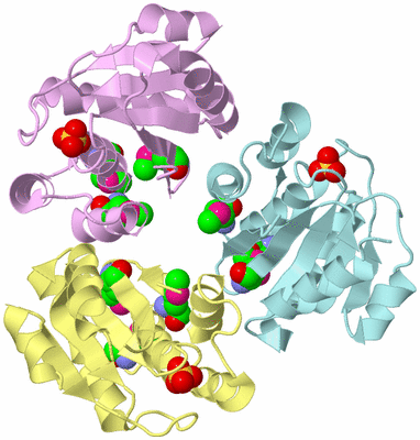 Image Biological Unit 2