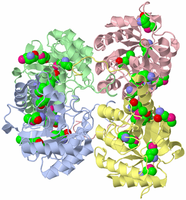 Image Asym./Biol. Unit