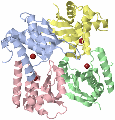 Image Asymmetric Unit