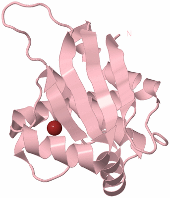 Image Biological Unit 3