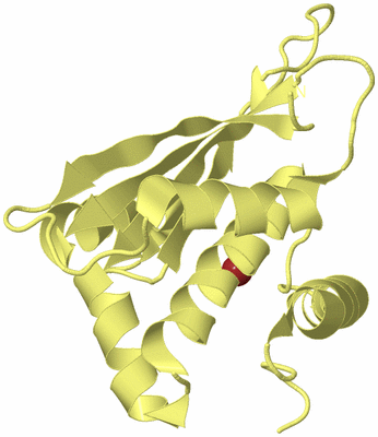 Image Biological Unit 4