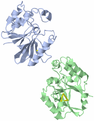 Image Asymmetric Unit