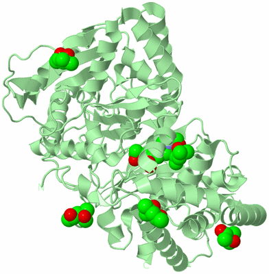 Image Biological Unit 2