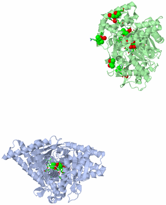 Image Asym. Unit - sites