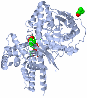 Image Biol. Unit 1 - sites