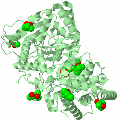 Image Biological Unit 2