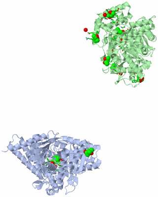 Image Asym. Unit - sites