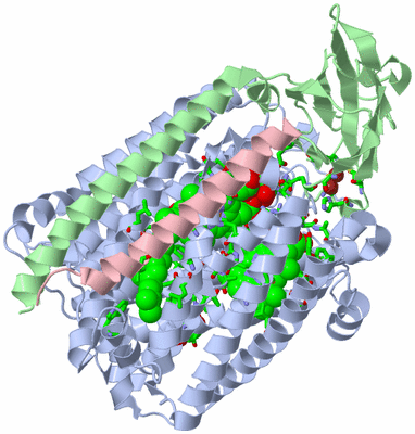 Image Asym./Biol. Unit - sites