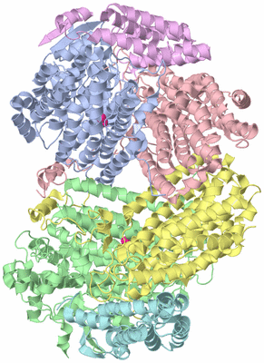 Image Asym./Biol. Unit