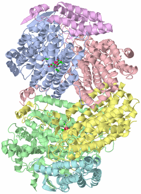 Image Asym./Biol. Unit - sites