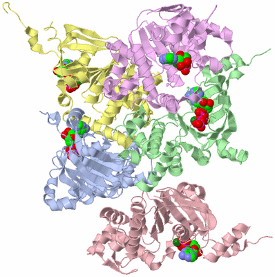 Image Biological Unit 1