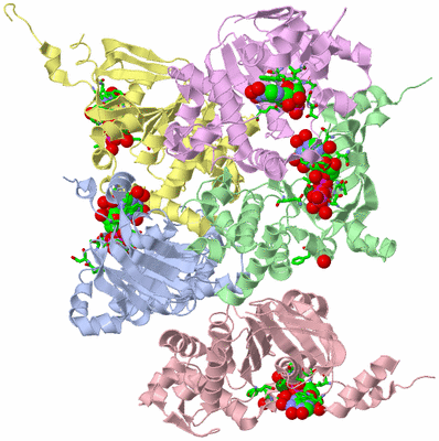 Image Biol. Unit 1 - sites