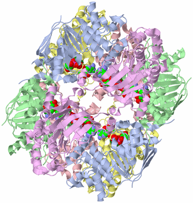 Image Biological Unit 2