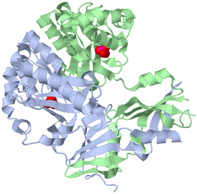 Image Asym./Biol. Unit