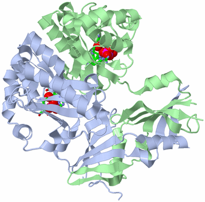 Image Asym./Biol. Unit - sites