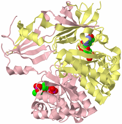 Image Biological Unit 2