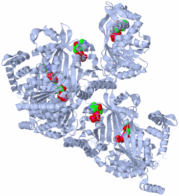 Image Biological Unit 1