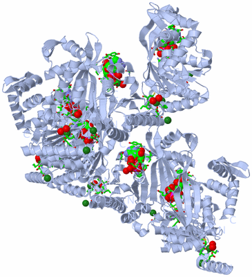 Image Biol. Unit 1 - sites