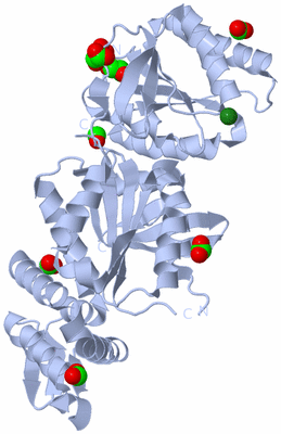 Image Biological Unit 1