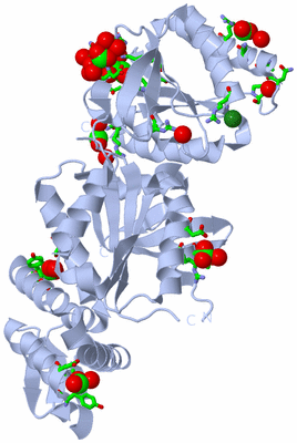 Image Biol. Unit 1 - sites