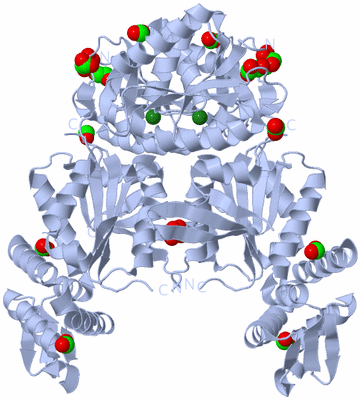 Image Biological Unit 2