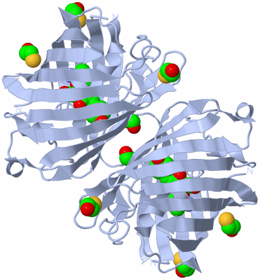 Image Biological Unit 2