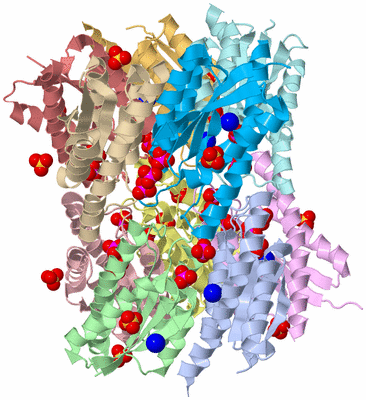 Image Asym./Biol. Unit