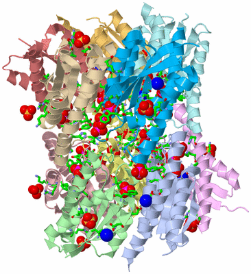 Image Asym./Biol. Unit - sites