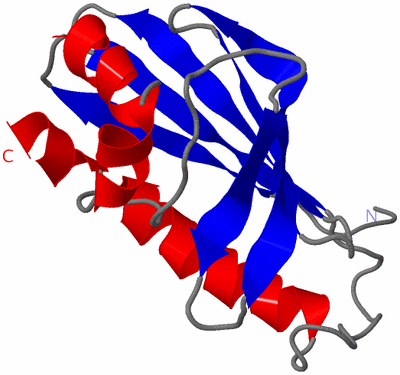 Image NMR Structure - model 1