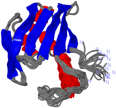 Image NMR Structure - all models