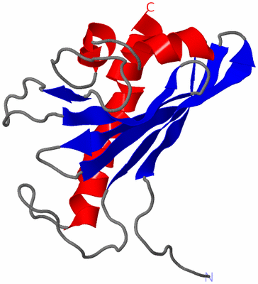 Image NMR Structure - model 1