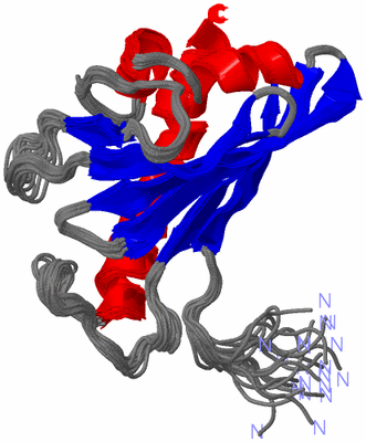 Image NMR Structure - all models