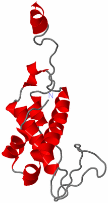 Image NMR Structure - model 1