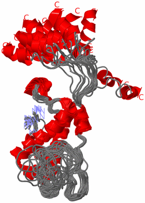 Image NMR Structure - all models