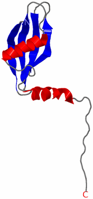 Image NMR Structure - model 1
