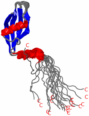 Image NMR Structure - all models