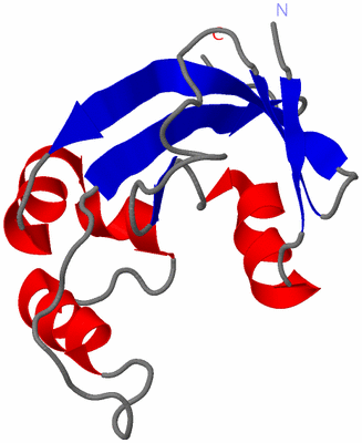 Image NMR Structure - model 1