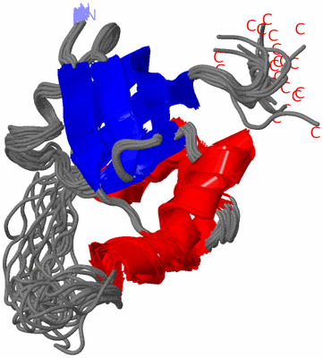 Image NMR Structure - all models