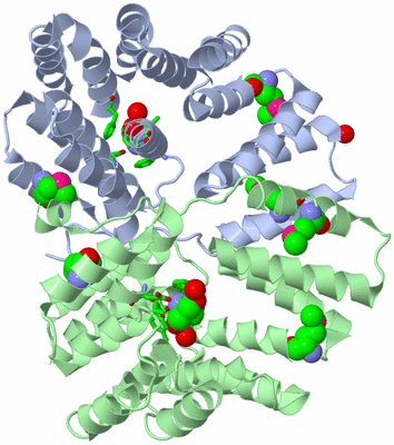 Image Asym./Biol. Unit - sites