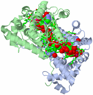 Image Asym./Biol. Unit - sites