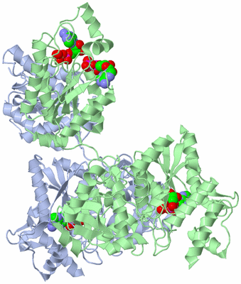 Image Asym./Biol. Unit