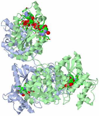 Image Asym./Biol. Unit - sites