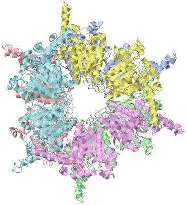 Image Asym./Biol. Unit