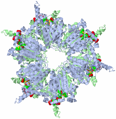 Image Biological Unit 1