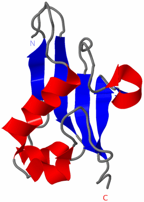 Image NMR Structure - model 1