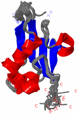 Image NMR Structure - all models