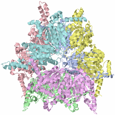 Image Asym./Biol. Unit