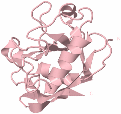 Image Biological Unit 3